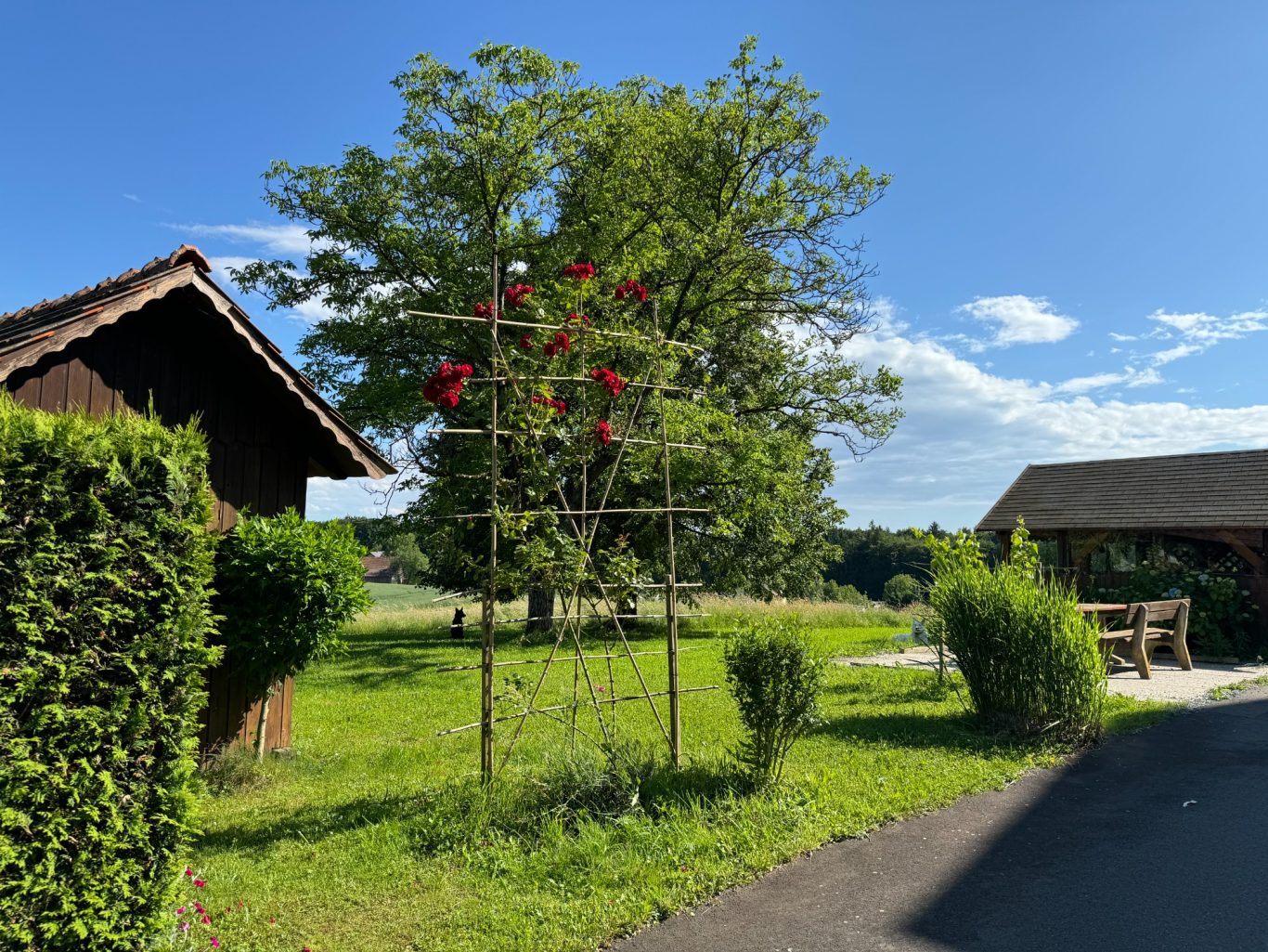 Ein ländlicher Garten mit Blumen, Bäumen und einem Holzhaus unter blauem Himmel.
