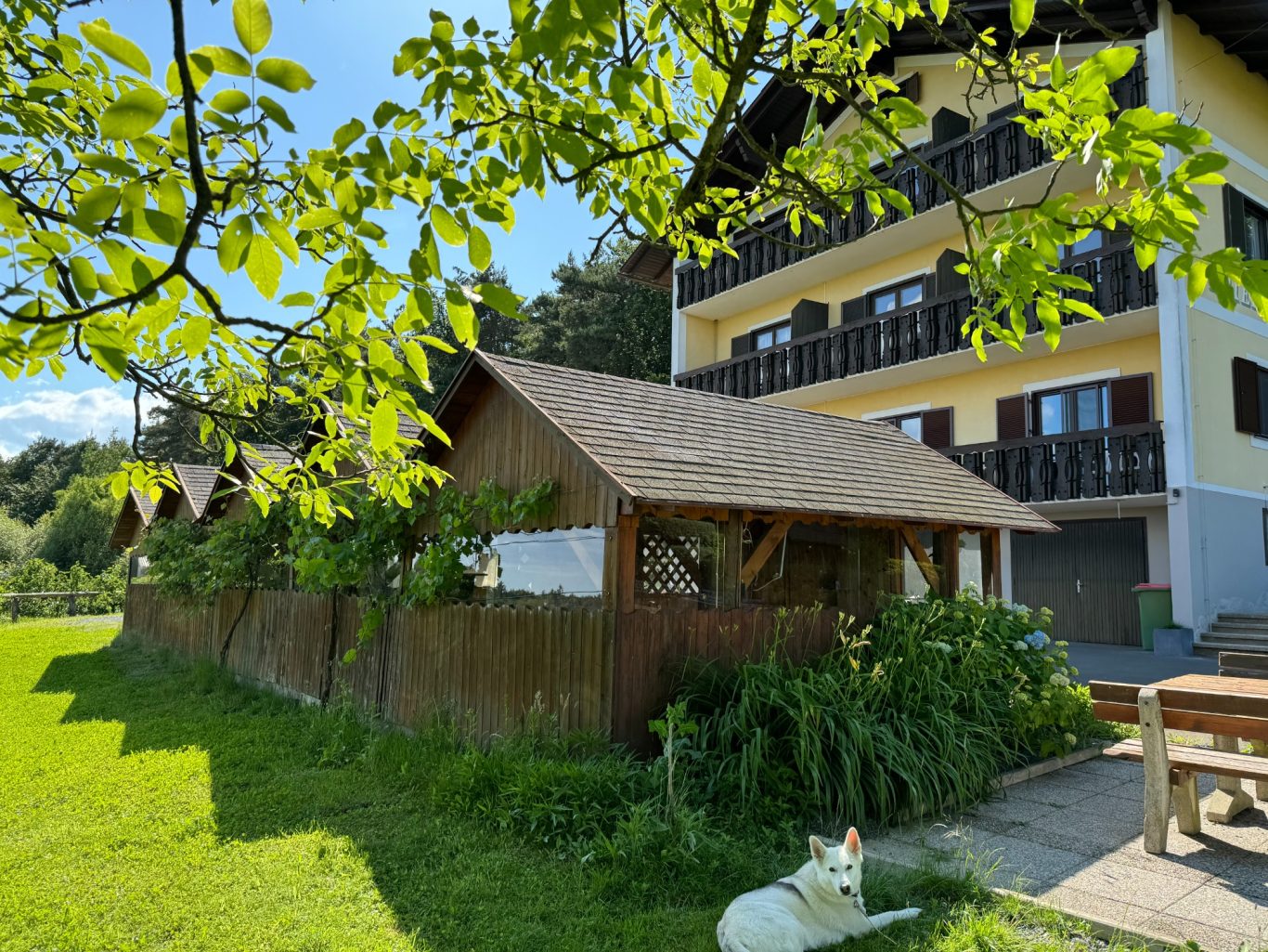 Hütte und Gebäude in einer grünen Landschaft mit einem Hund im Vordergrund.