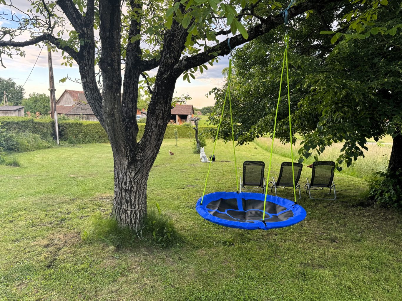 Ein Garten mit einem blauen Trampolin, einer Schaukel und drei Stühlen unter einem Baum.